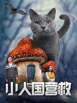 忙着工作的小姐