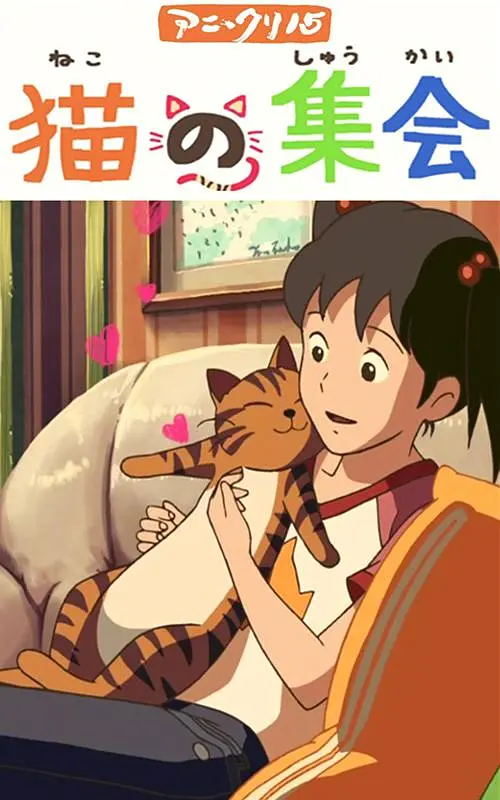 日韩高清片